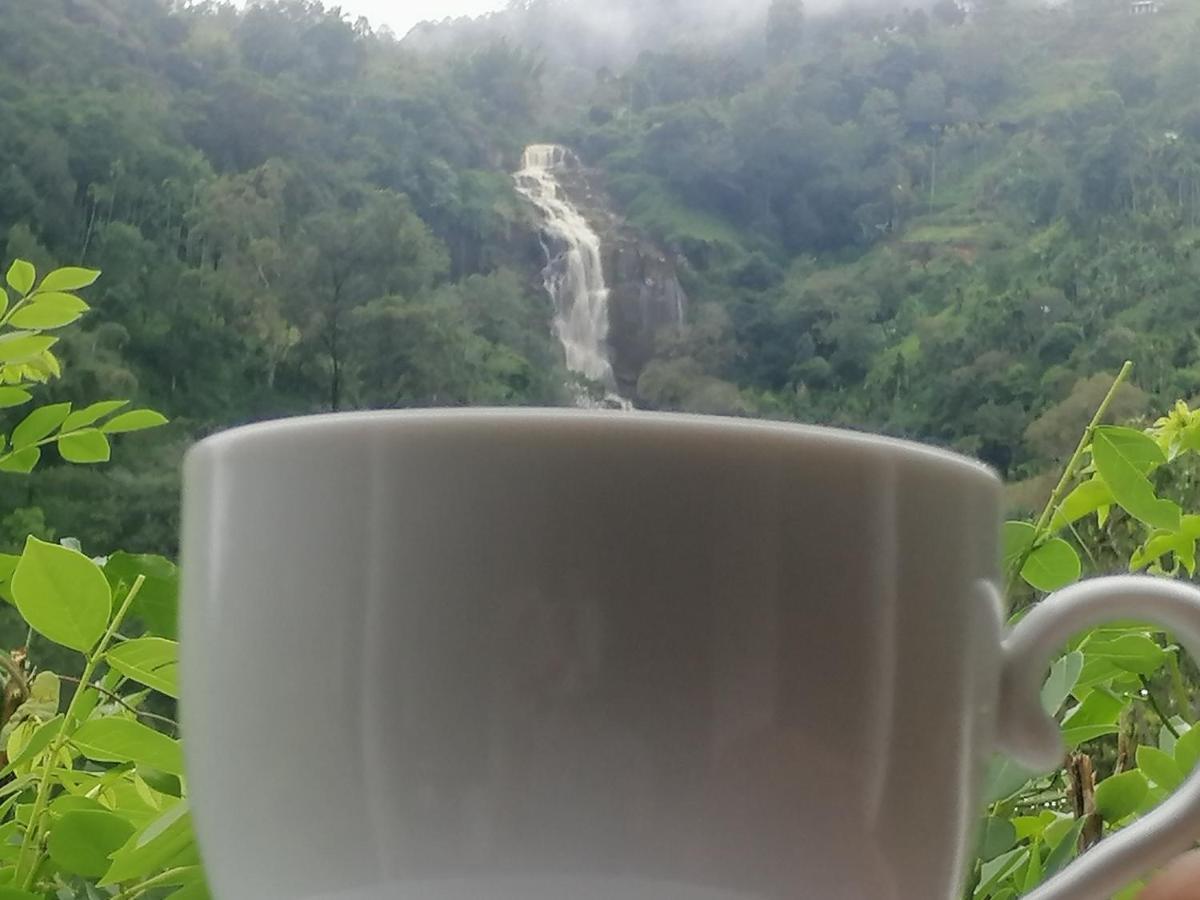Super View Homestay