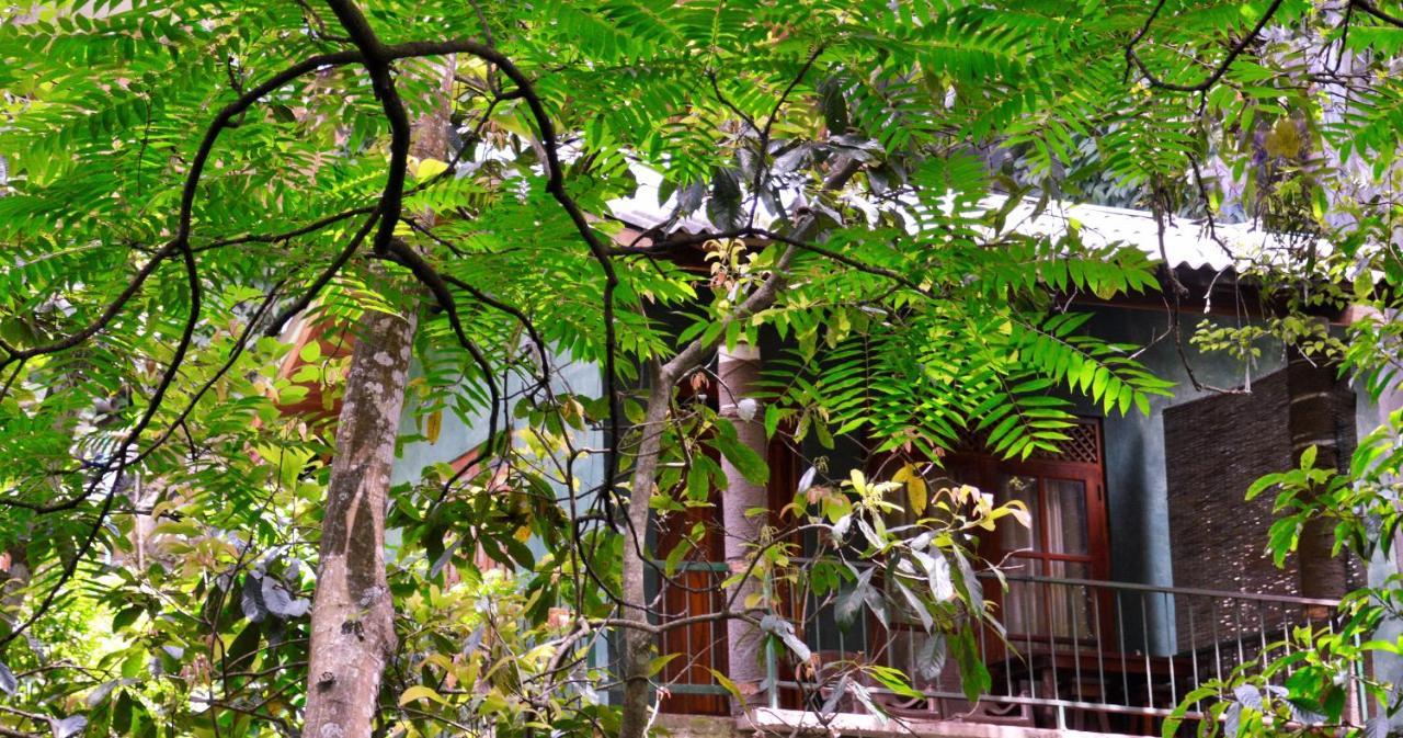 Ella Green Cottages Guest house