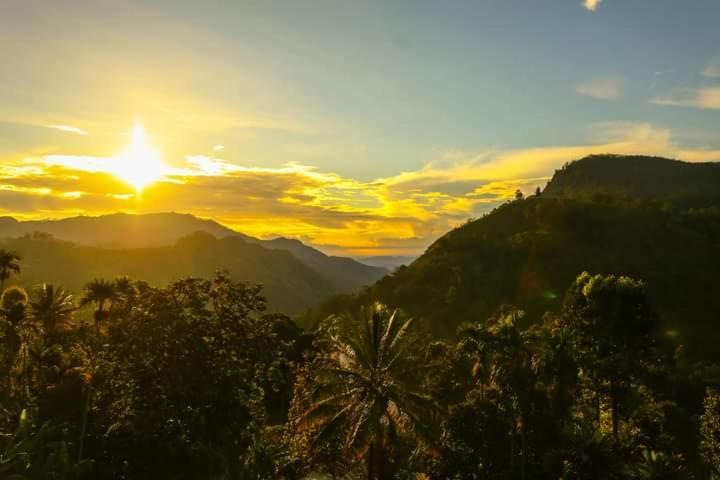 Elegant Hill *