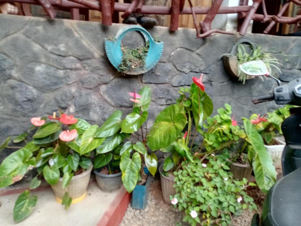 Nimsara