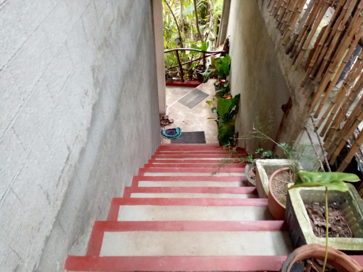 Homestay Nimsara