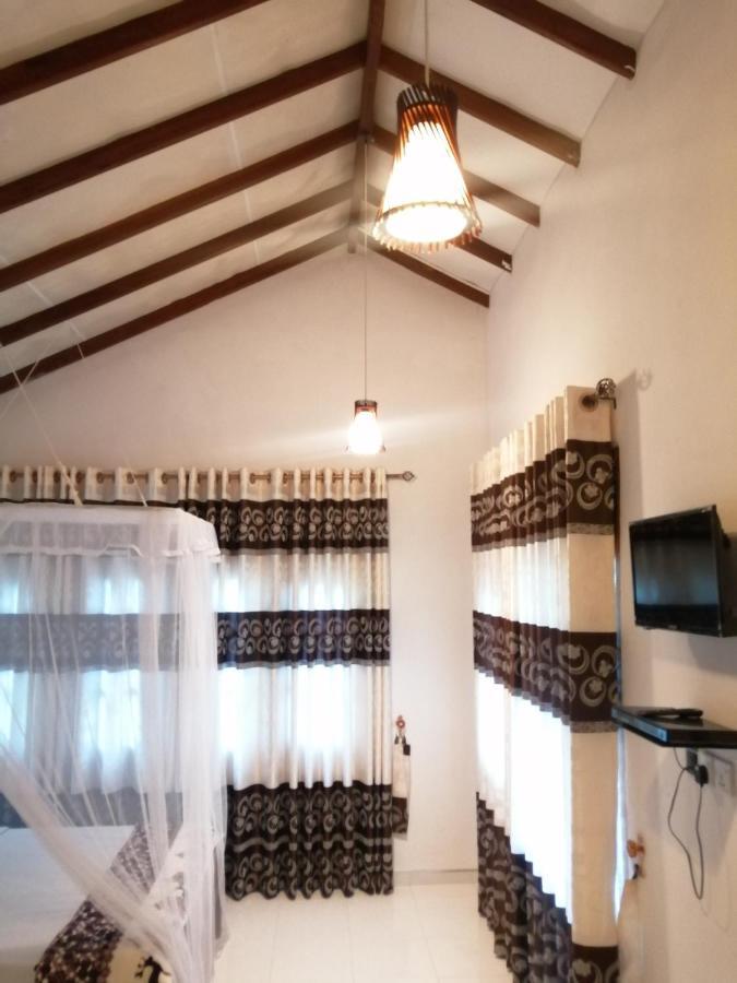 Homestay Solitary