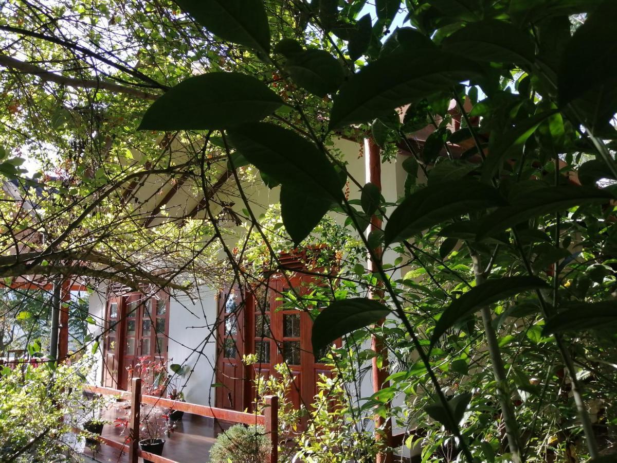 Homestay Solitary