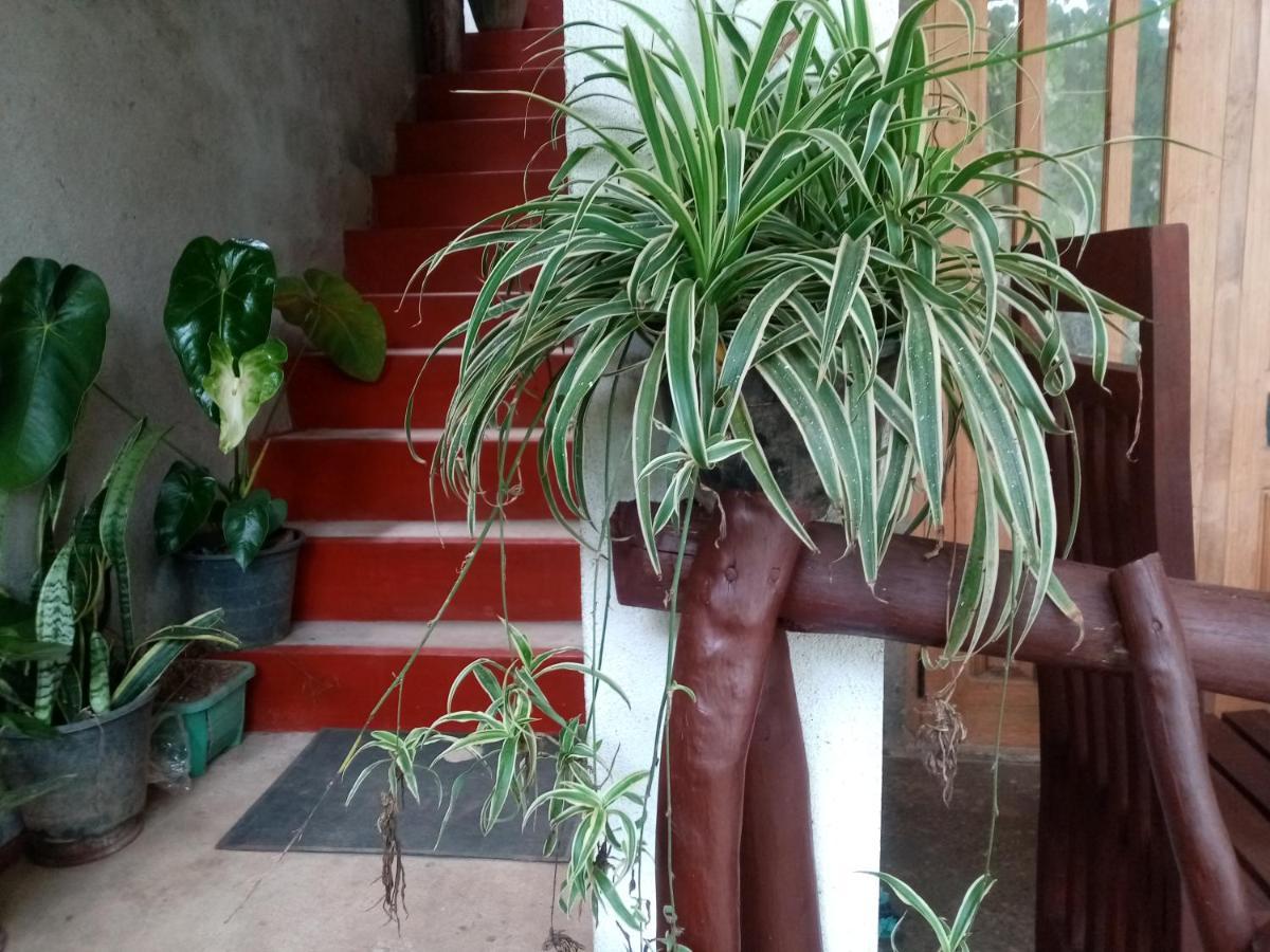 Homestay Nimsara
