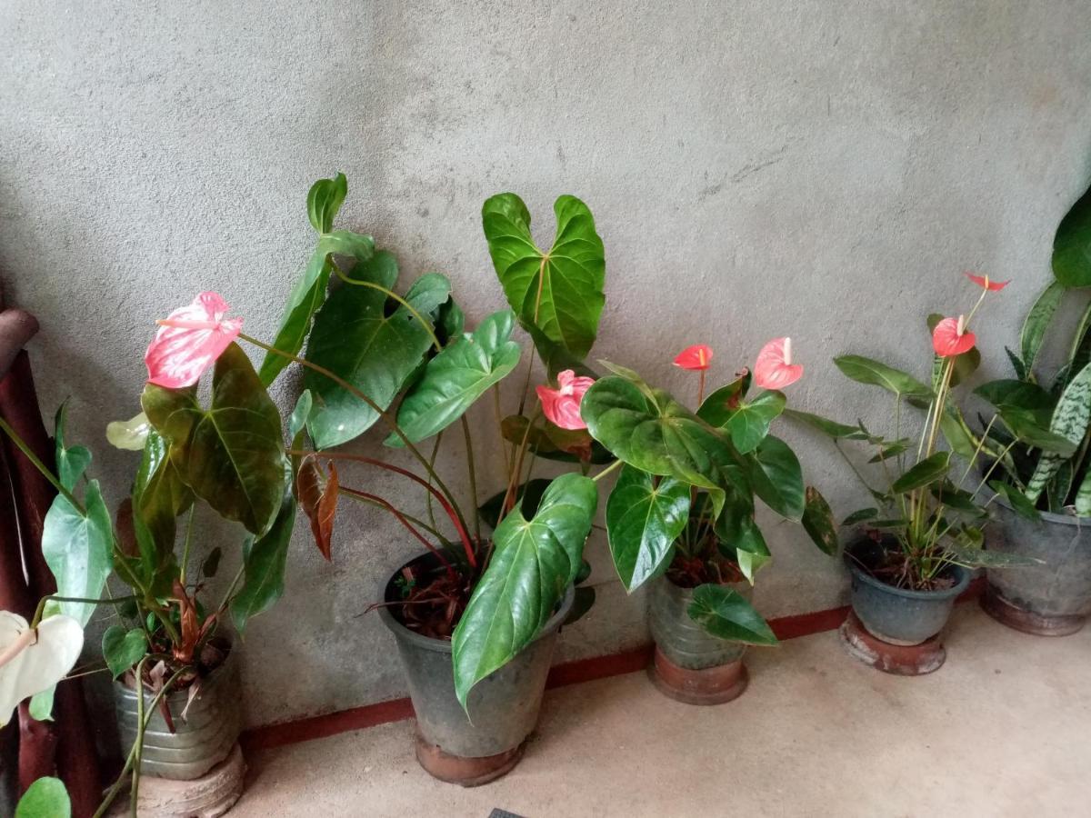 Nimsara Homestay Ella