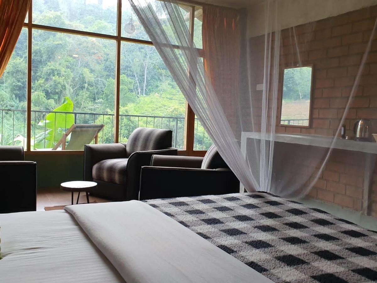 Ayubo - Lodge