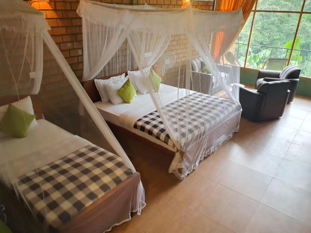 Ayubo - Lodge