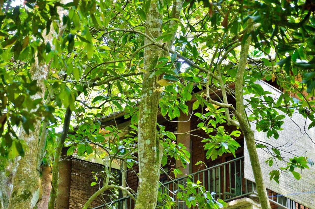 Guest house Ella Green Cottages Ella