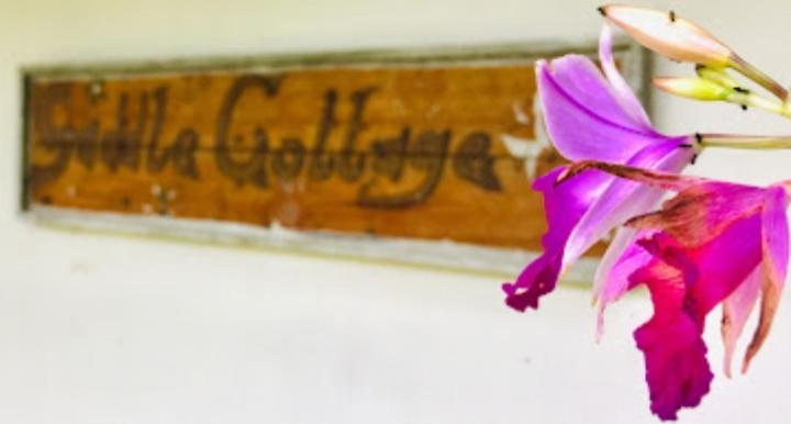 Saddle Bed & Breakfast 2*