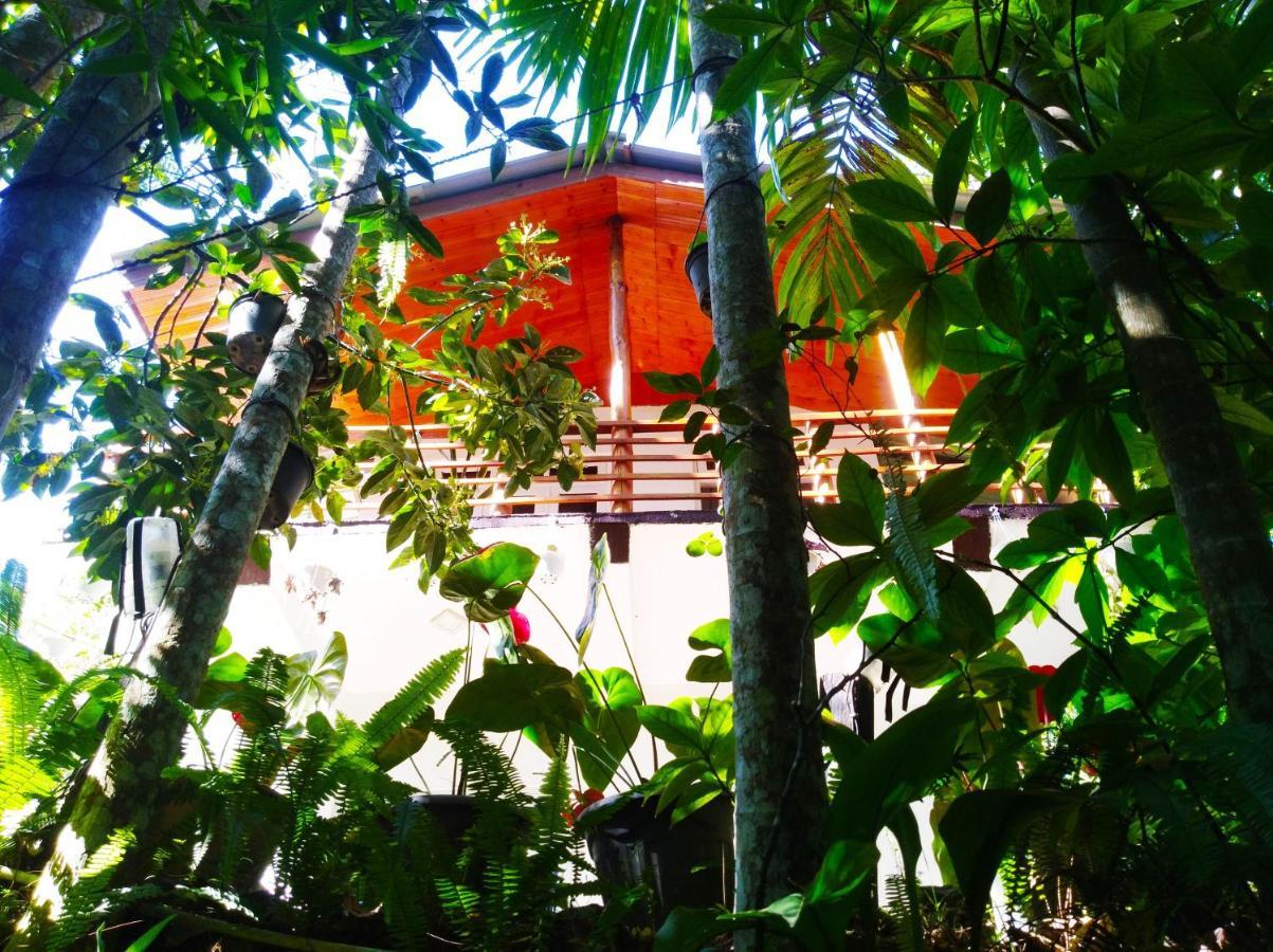 Walkers Nest Guest house Ella
