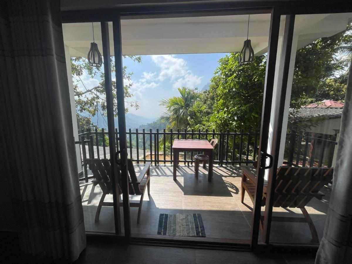 Divine View Ella