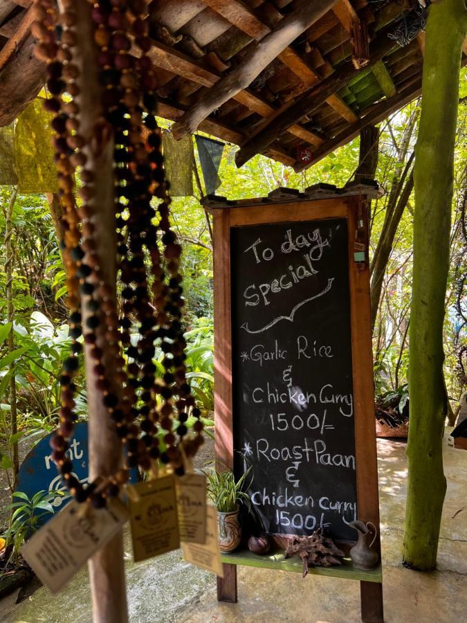 Moksha Eco Guest house 2*