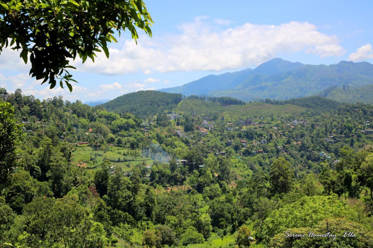 Homestay Serene