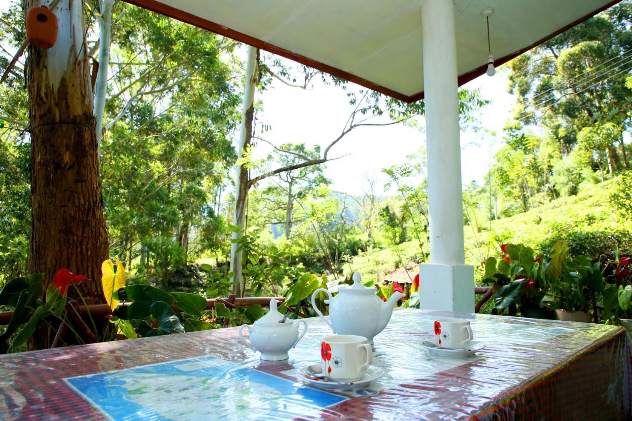 Lodge 
