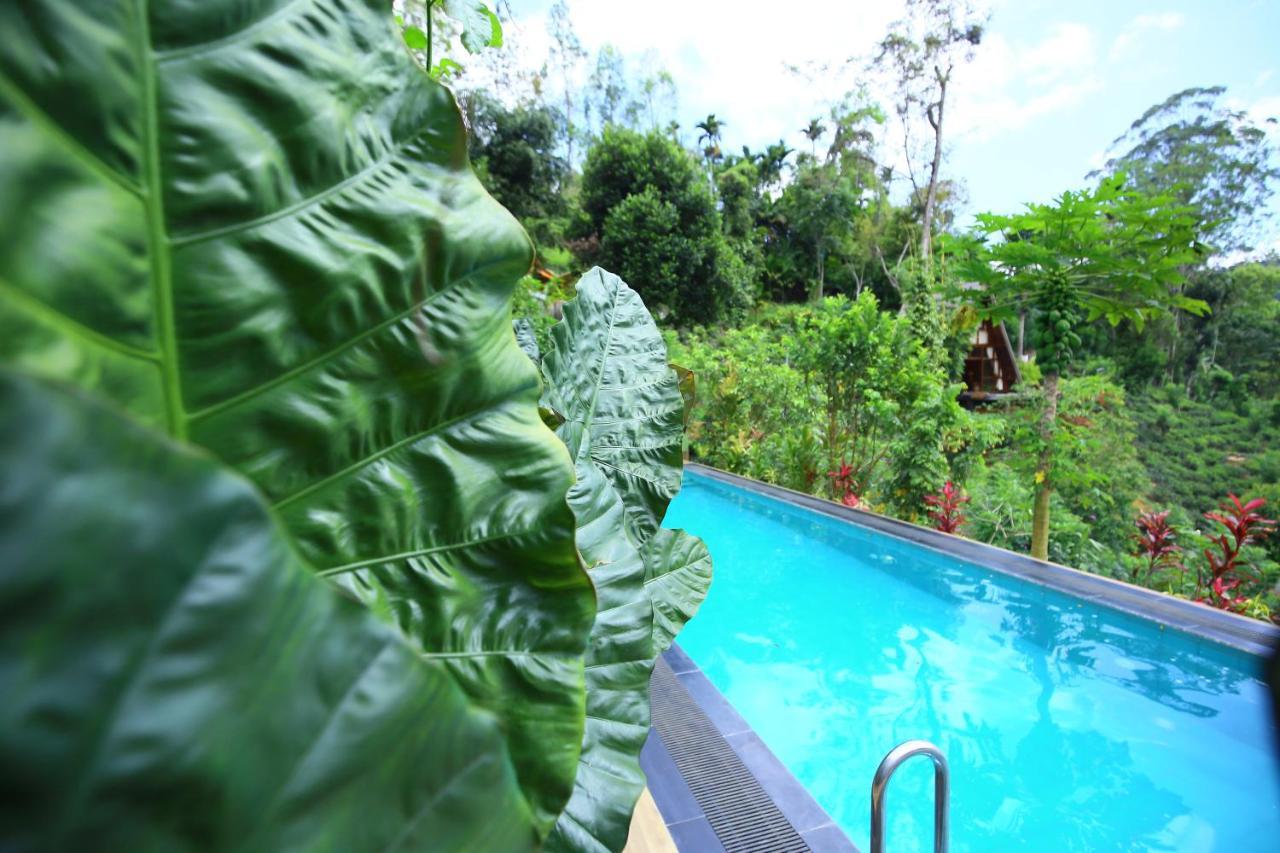 Villa Tea