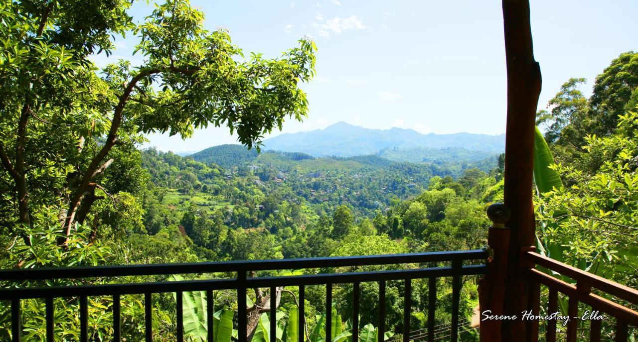 Serene Homestay