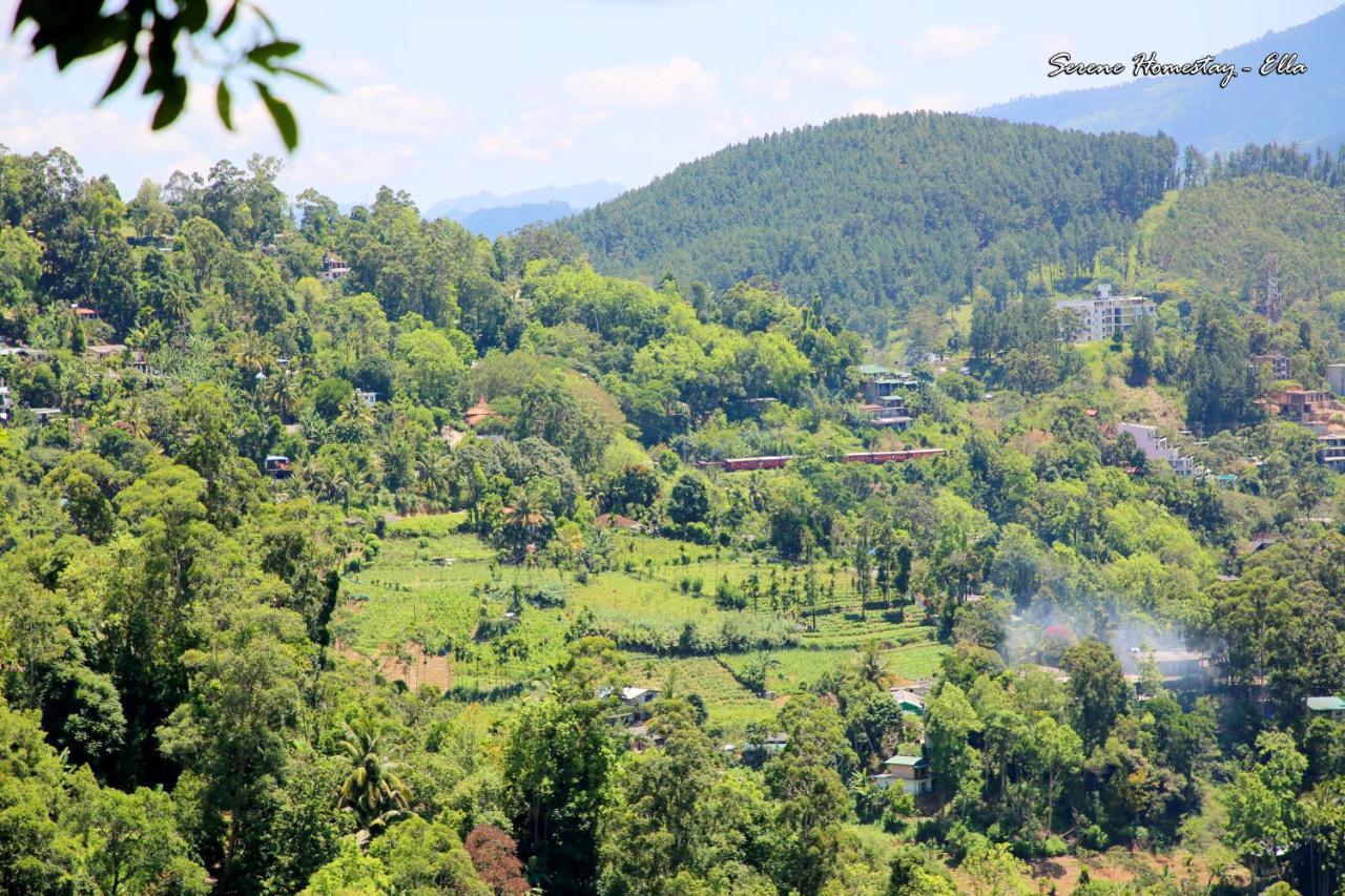 Homestay Serene Ella