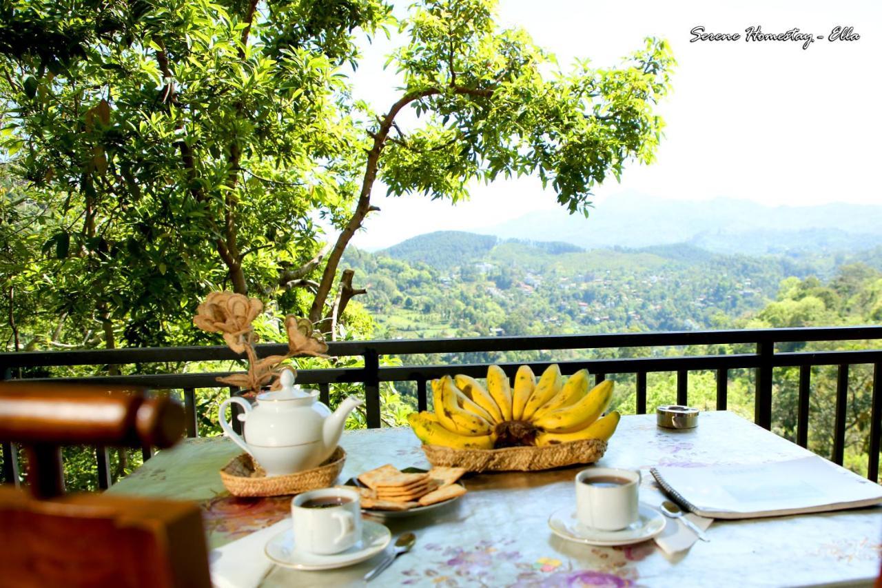 Homestay Serene *