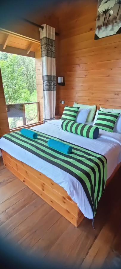 Hotel Nature Paradise