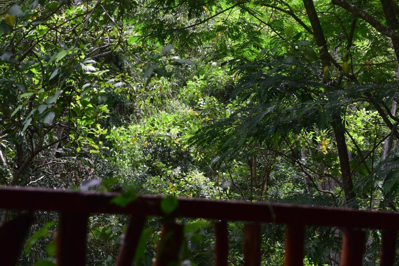 Guest house Ella Green Cottages 3*
