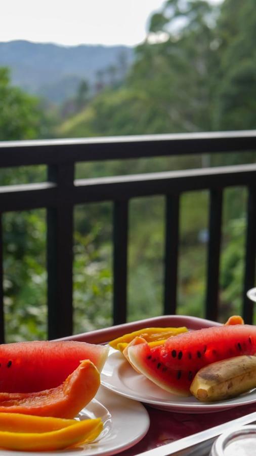 Homestay The Bliss
