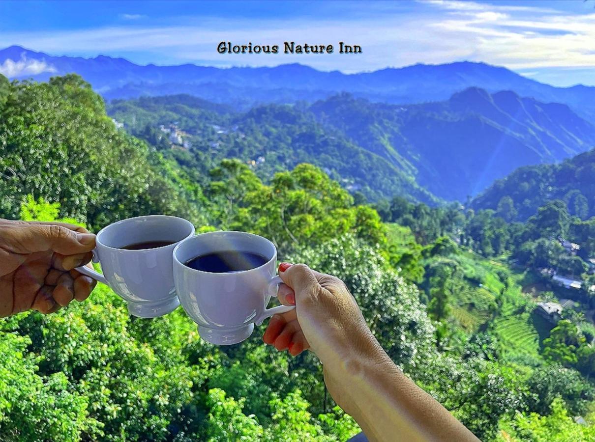 Glorious Nature Bed & Breakfast