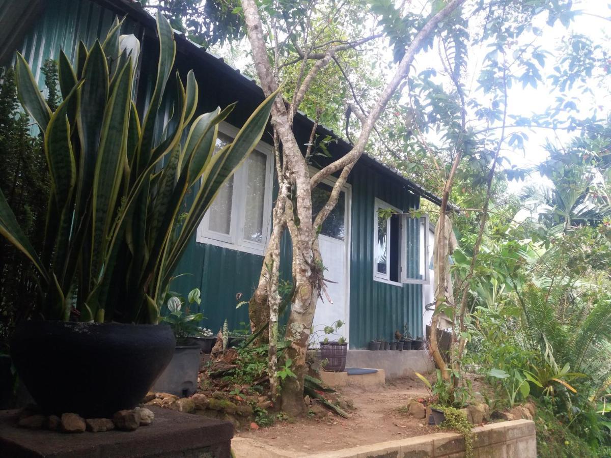 Ella Green Stay Guest house Ella