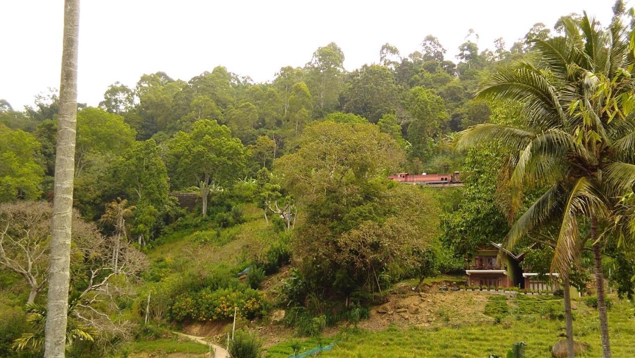 Marvellous Homestay Ella