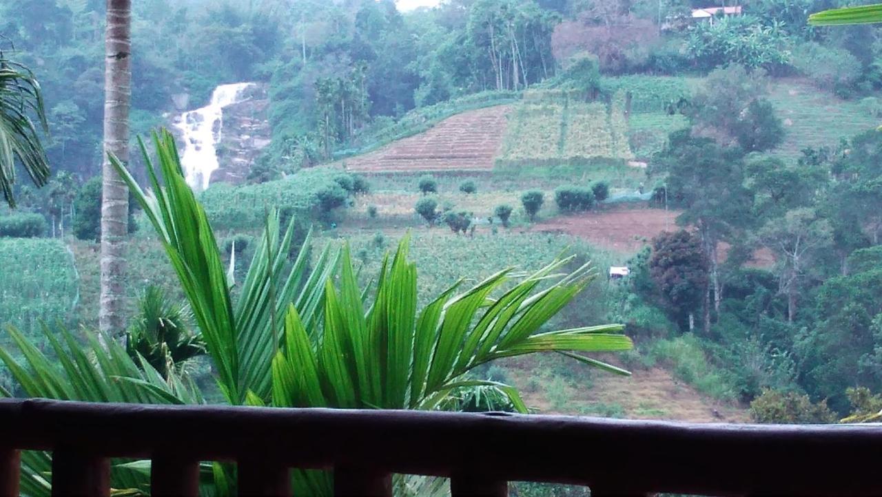 Marvellous Homestay *