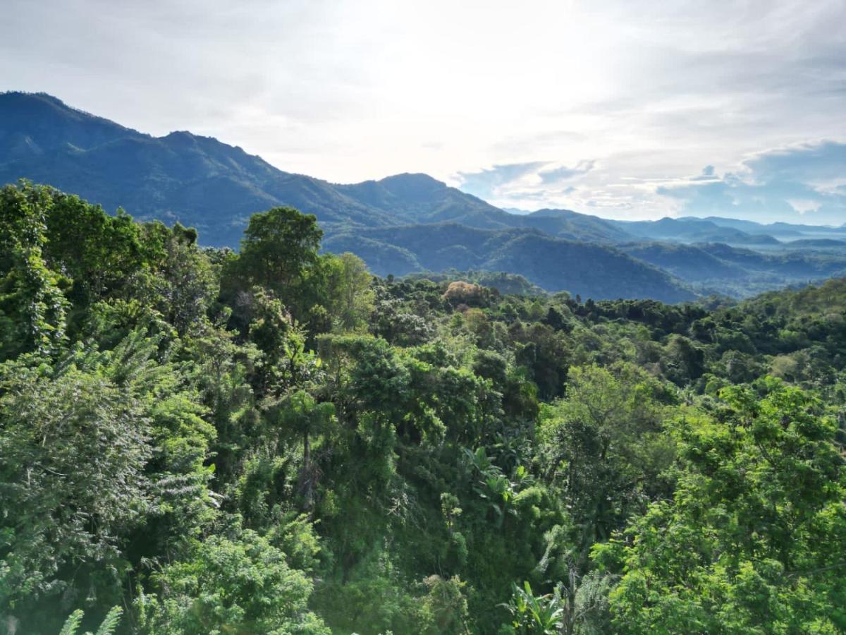Guest house Eagle View