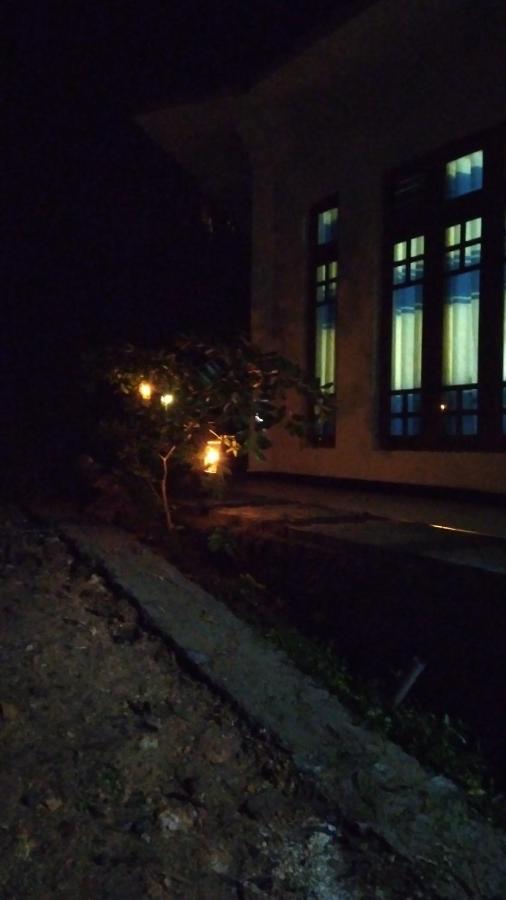 Holly House Homestay *