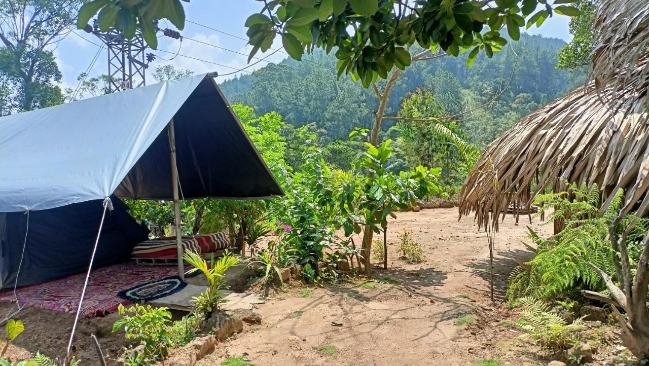 Luxury tent Freedom Camp *