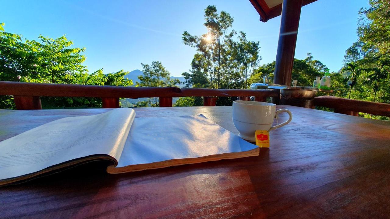 Guest Avendra Bed & Breakfast *