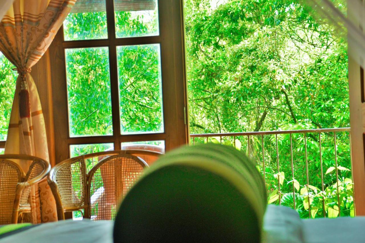 Green Cottage Ella Ella