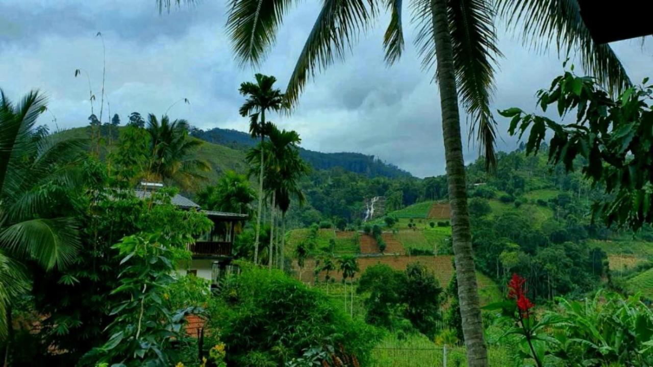 Blue Heaven Bed & Breakfast