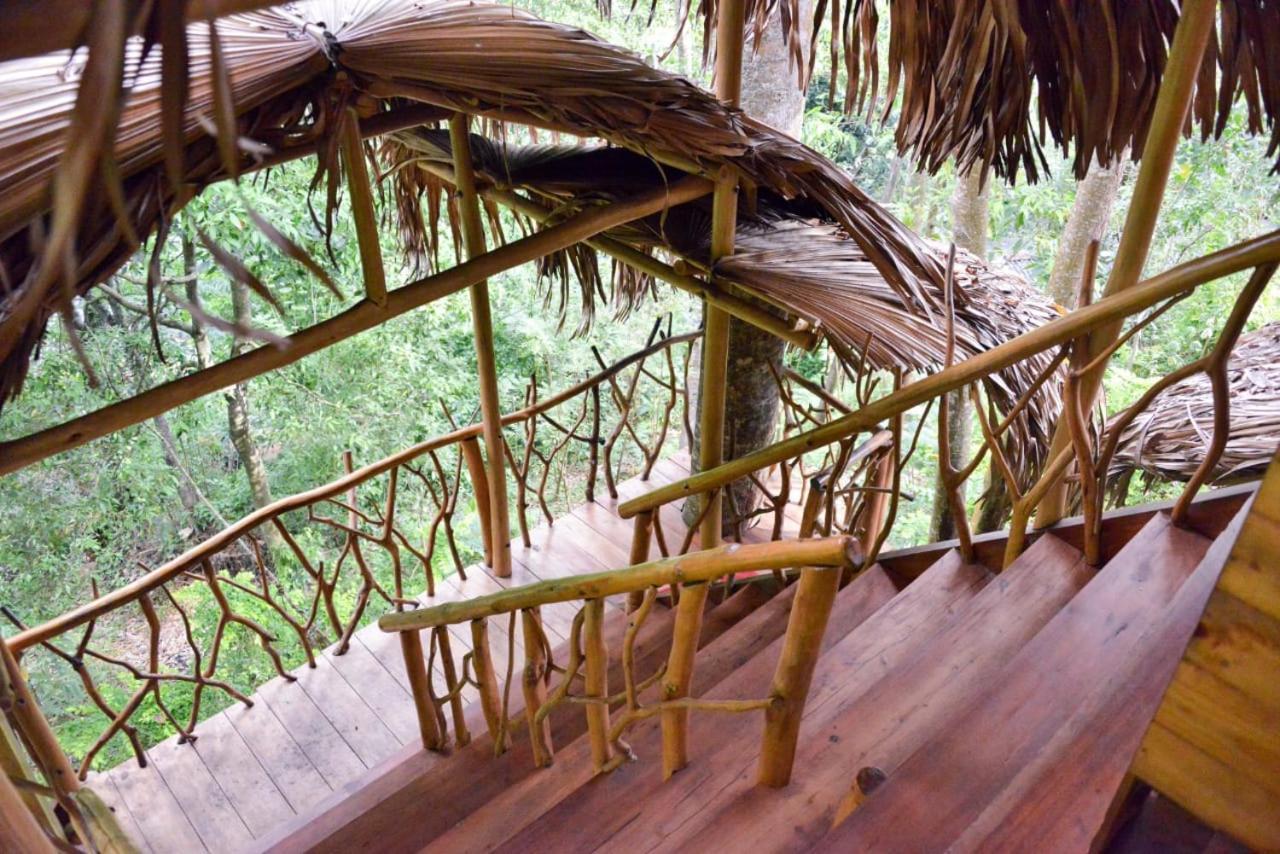 Eco Village