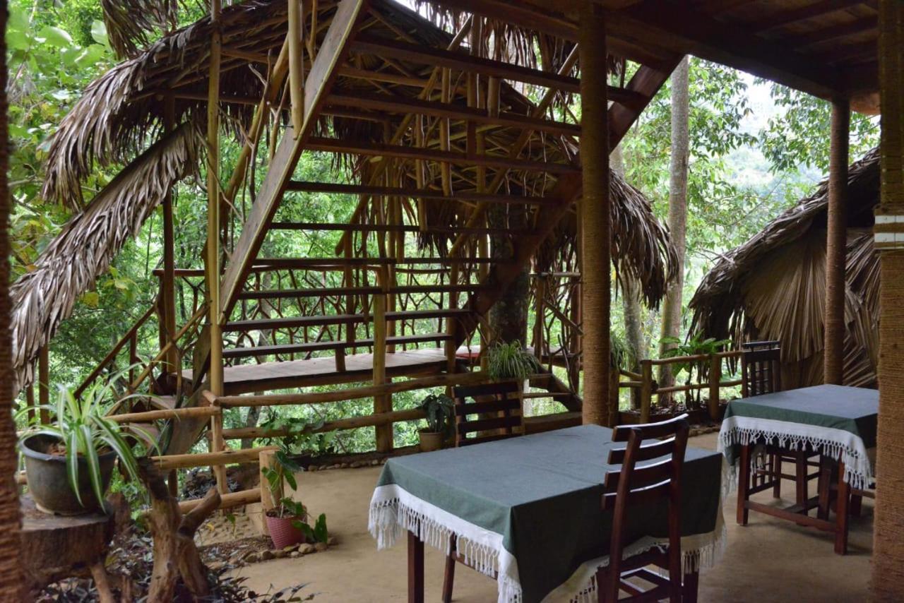 Eco Village
