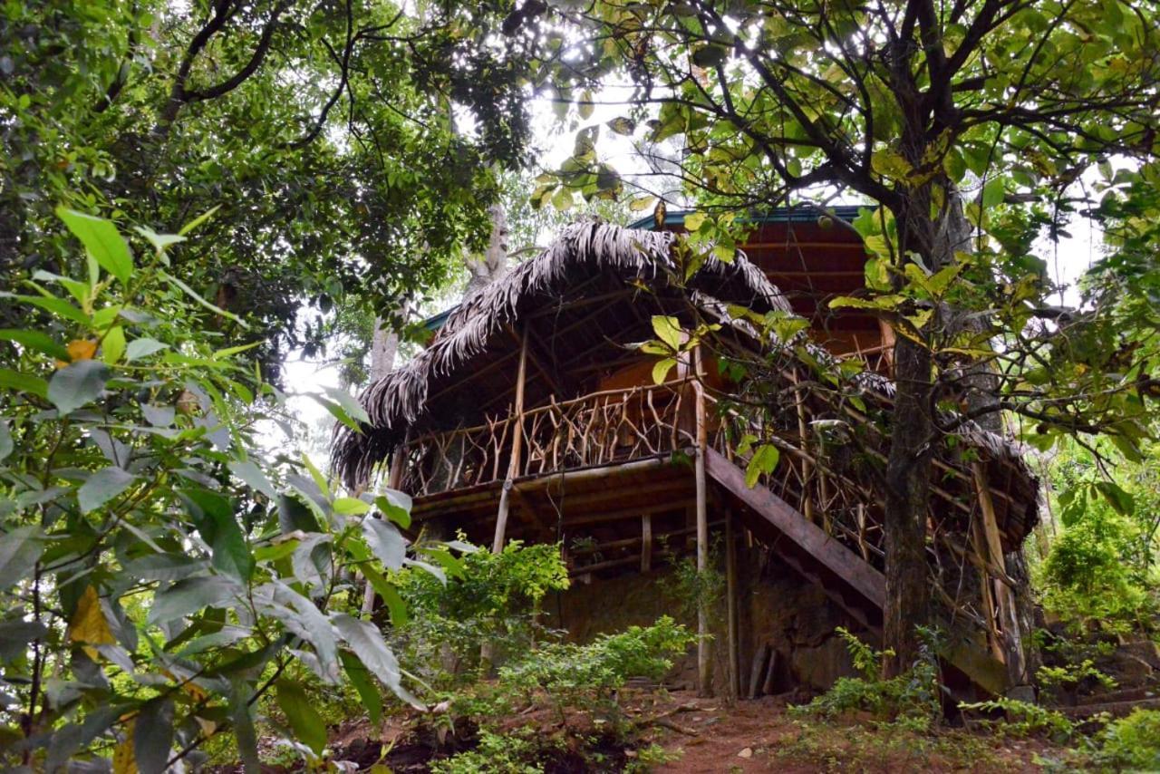 Resort Eco Village