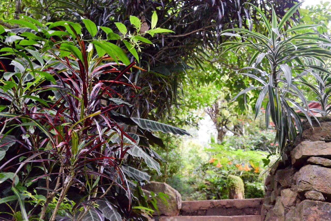 Eco Village *