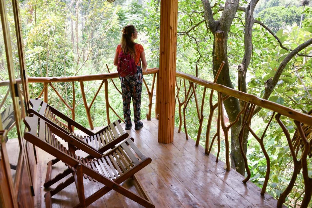 Eco Village