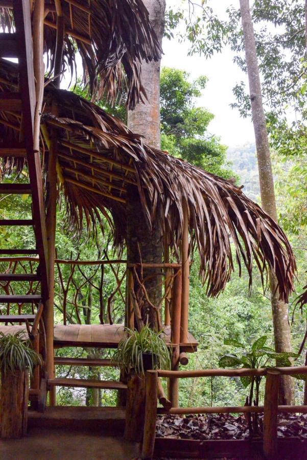 Eco Village *