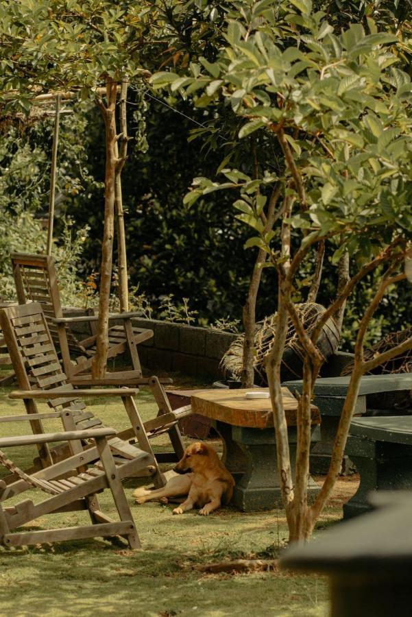 Hostel Kurumba