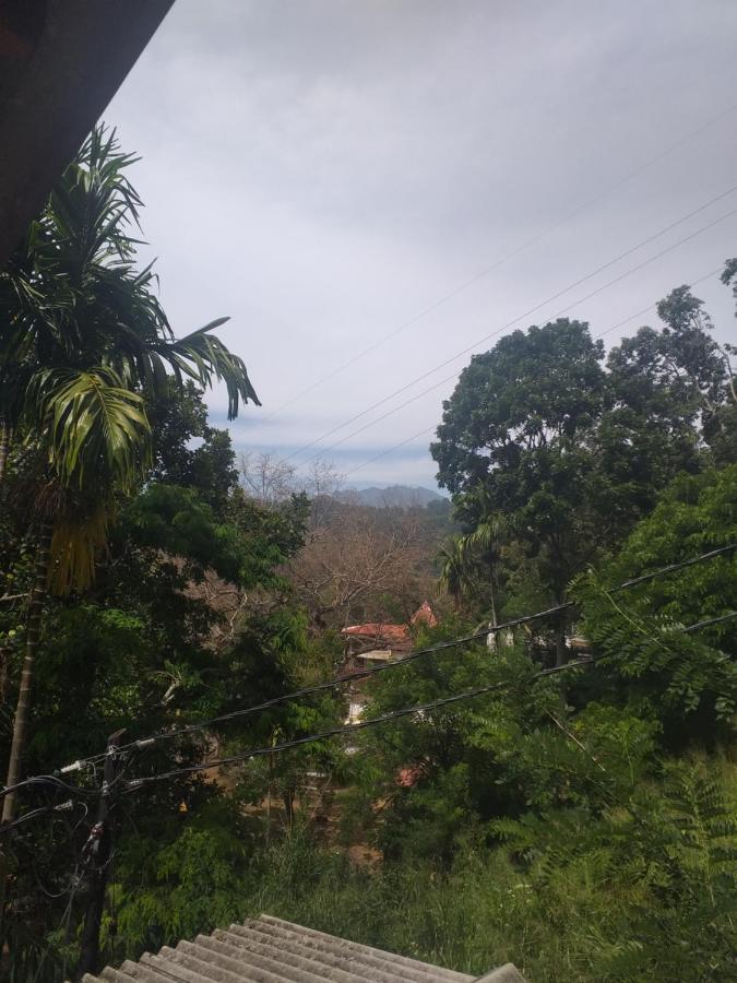 Nature Nest Homestay