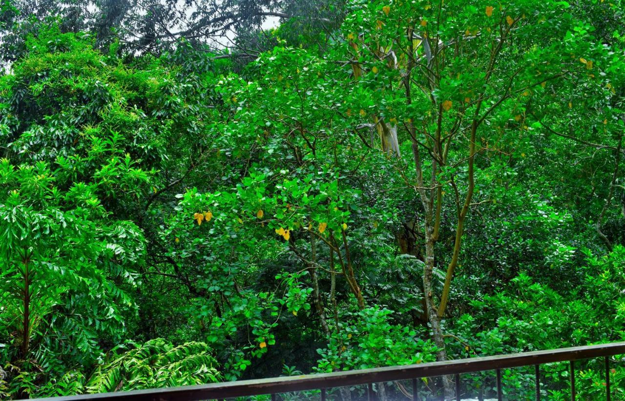 Inn Green Cottage Ella 3*