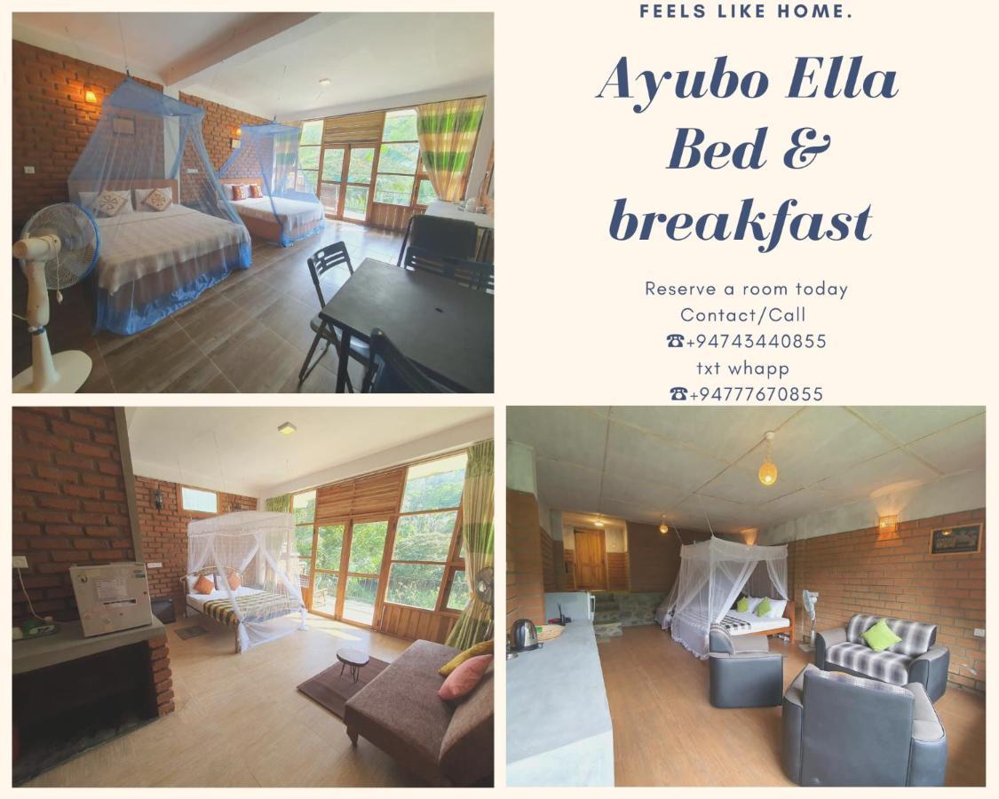 Ayubo - Lodge *