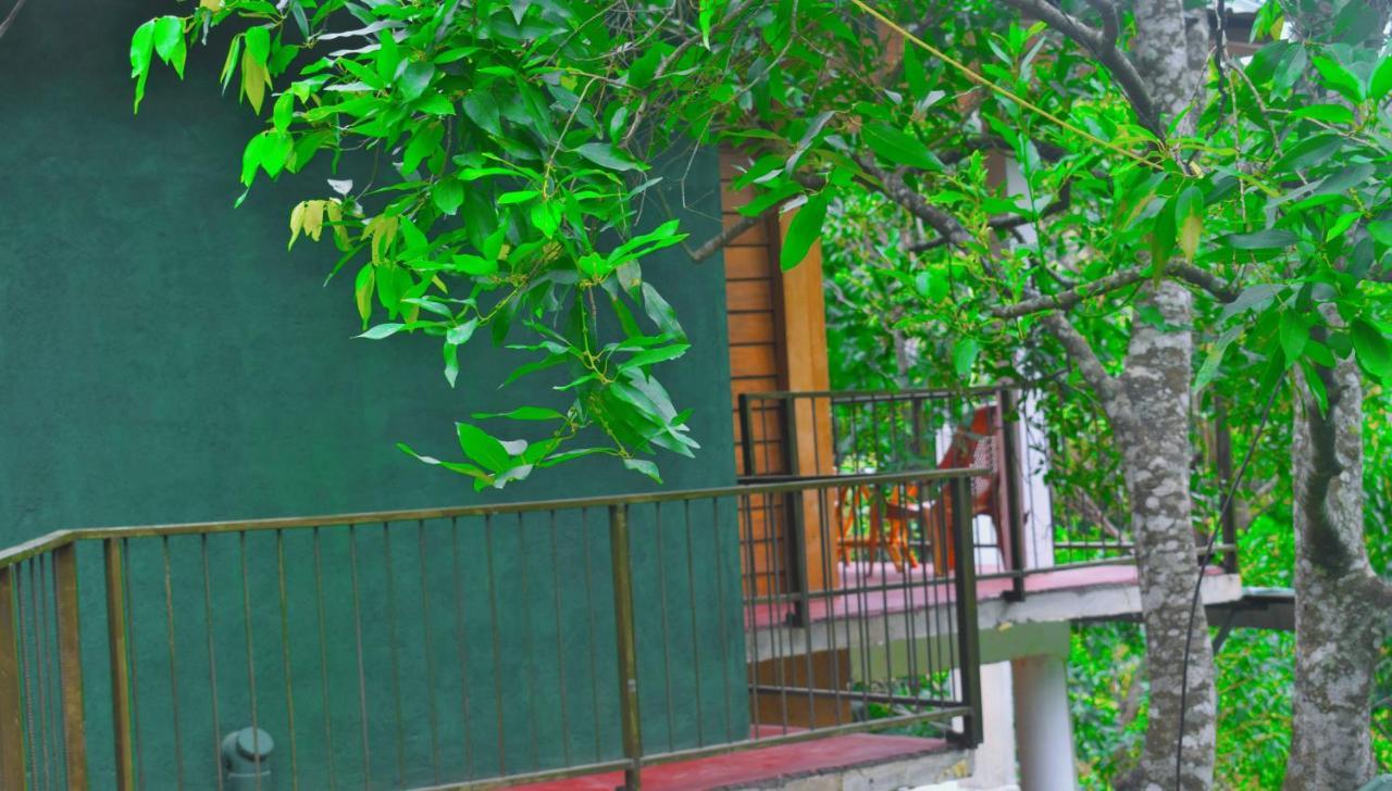 Green Cottage Ella 3* Ella