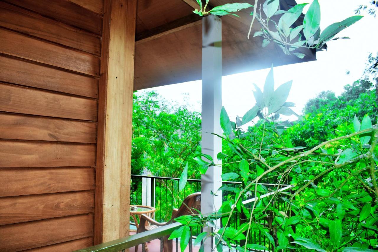 Green Cottage Ella 3*
