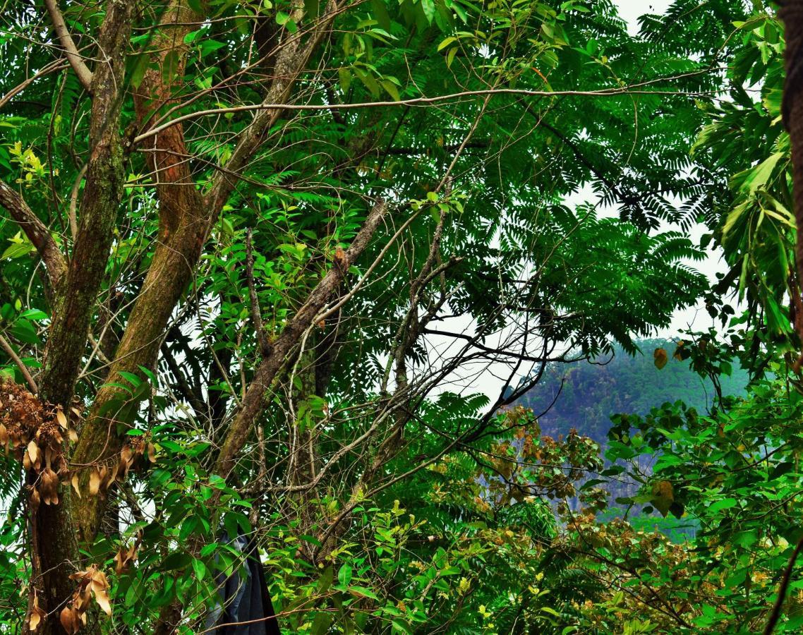 Green Cottage Ella 3*