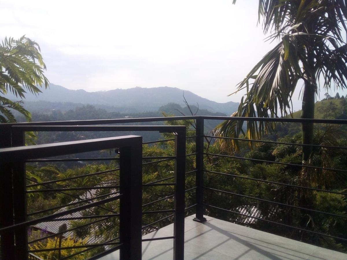 Bed & Breakfast Aloft View *
