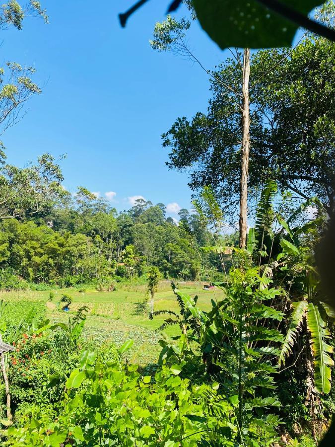 The Kingdom Of Homestay